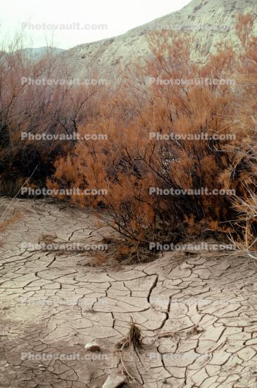 Dirt, soil, dried mud, cracked earth, Craquelure