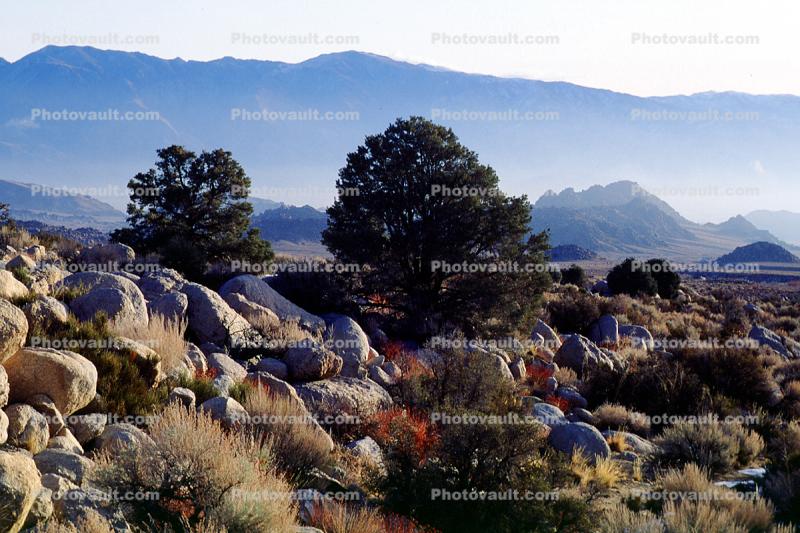 Rocks, Boulders, Creosote Bush, shrub, Mountain Range, snow, Owens Valley