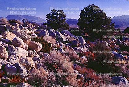 Rocks, Boulders, Owens Valley