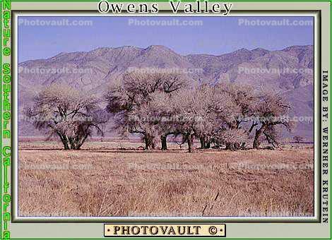 Owens Valley