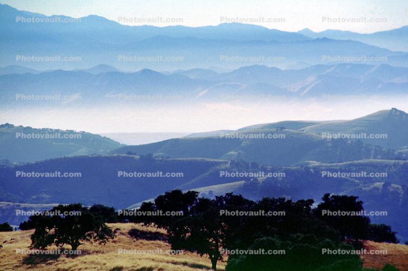 Priest Valley, hills, scrub, prairie, woodlands, near Coalinga, Monterey County
