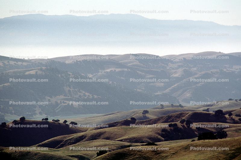 Priest Valley, hills, scrub, prairie, woodlands, Monterey County, near Coalinga
