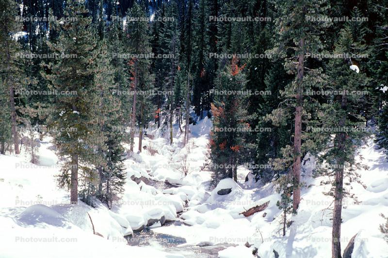 Stream in the Snow, Winter, Water