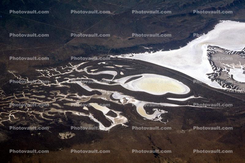 Soda Lake, near the Temblor Range, Fractal Patterns, water