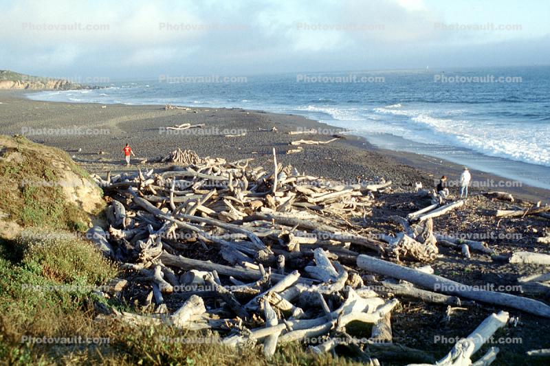 Driftwood, Beach, Pacific Ocean, Cambria