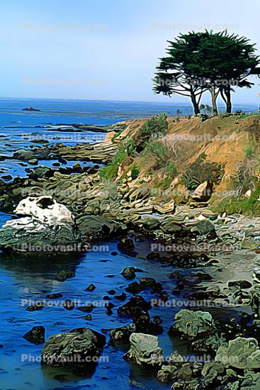 Tree, Rocks, cliff, Shoreline, coastline, Cayucos, Paintography