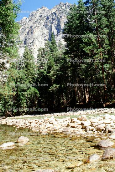 River, rocks, forest, trees, Kings Canyon National Park