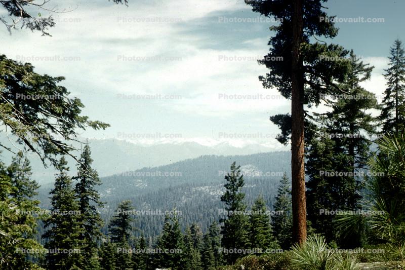 Kings Canyon National Park, Sierra-Nevada Mountains, May 1960, 1960s