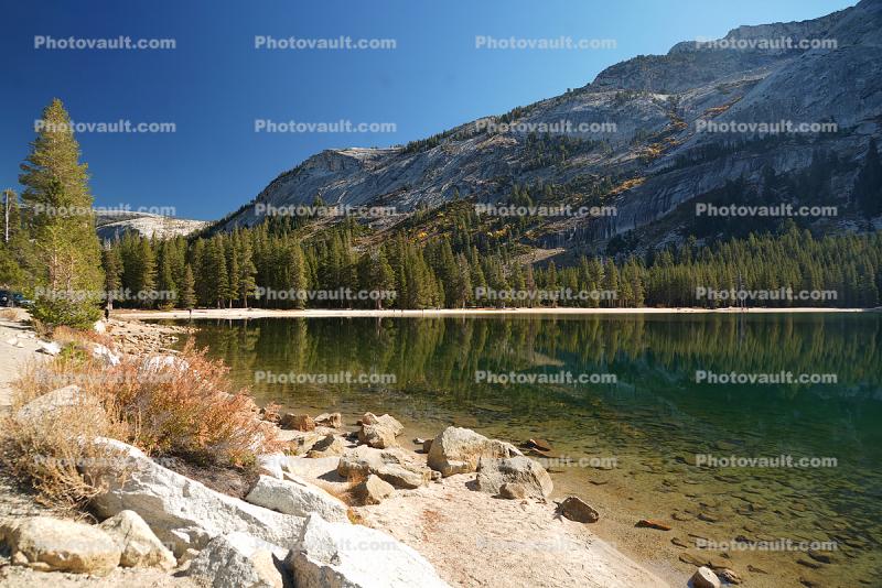 Tenaya Lake, Reflections, Water, Granite Mountains