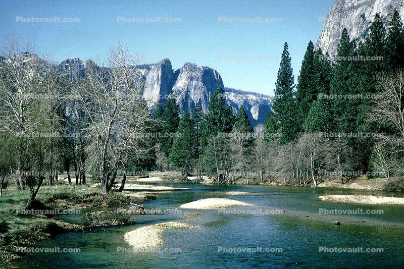 Merced River, Valley, forest, trees