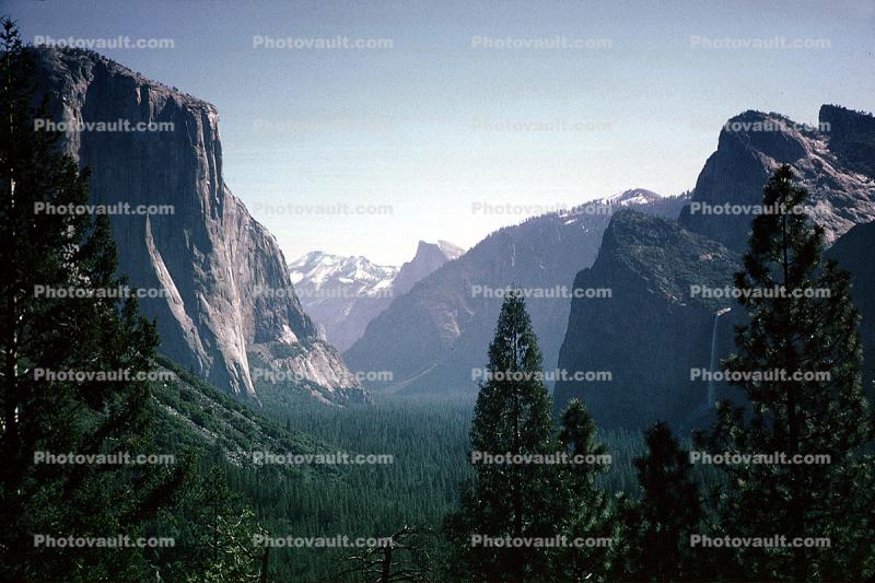 Yosemite Valley, El Capitan, Granite Cliff, forest, trees