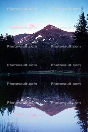 Reflection, Trees, Forest, Mountain Peak