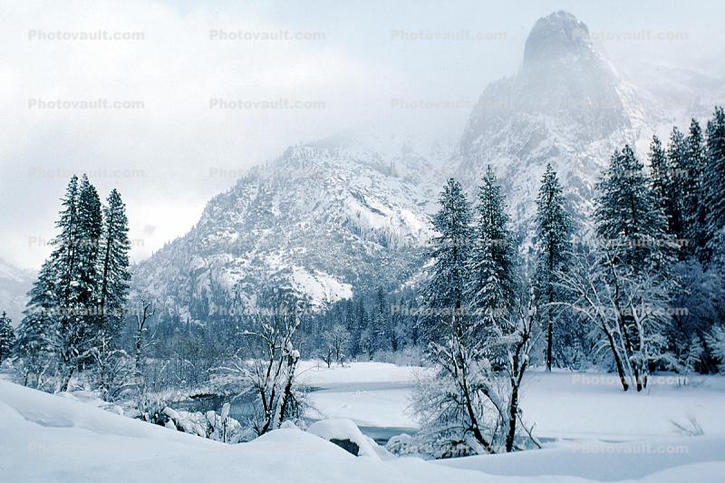 Cathedral Rock, Snowy Trees, Valley, Forest, Winter
