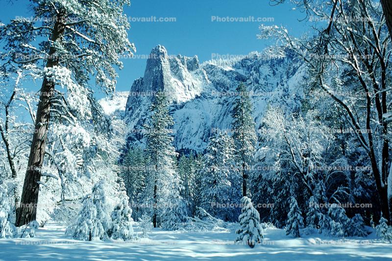 Cathedral Rock, Snowy Trees, Valley, Forest, Winter