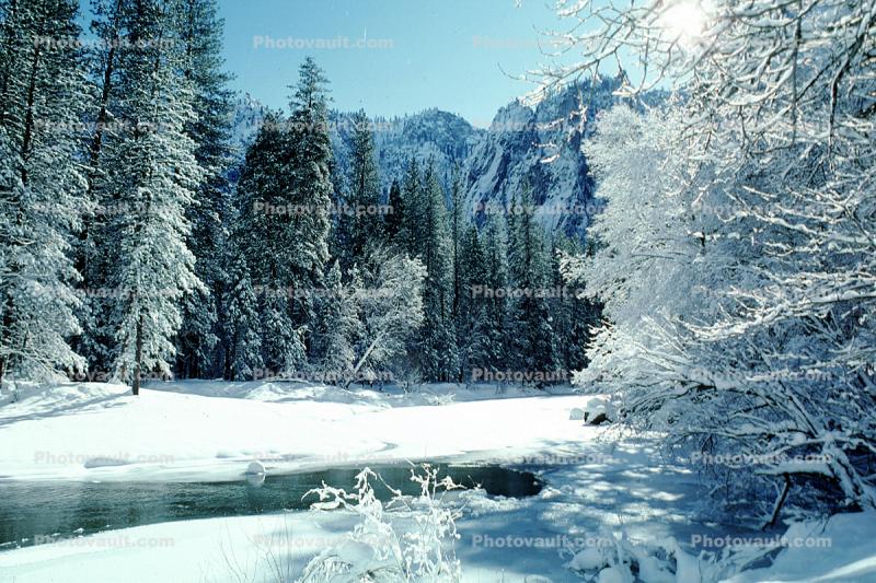 Merced River, Snowy Trees, Valley, Forest, Winter