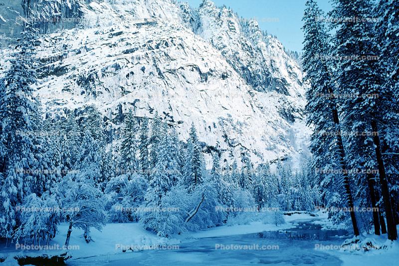 Snowy Trees, Valley, Forest, Winter, Merced River