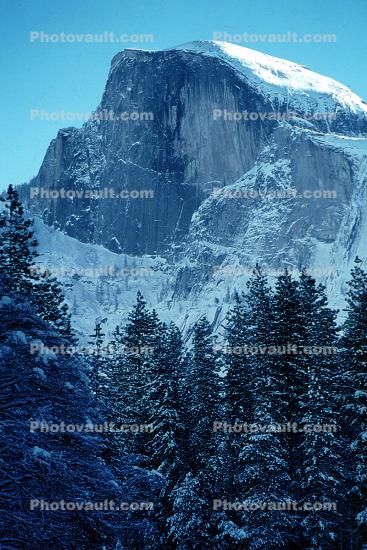 Half Dome, Snowy Trees, Valley, Forest, Winter, Granite Cliff