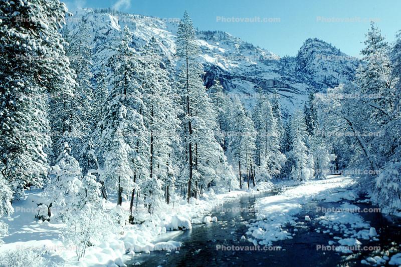 Smooth Snow Covered Rocks, Merced River, Snowy Trees, Valley, Forest, Winter, Woodland