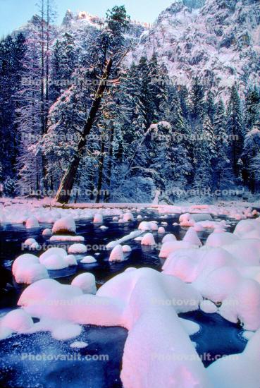 Merced River, Snow Mounds, Ice, Cold, Evergreen Trees