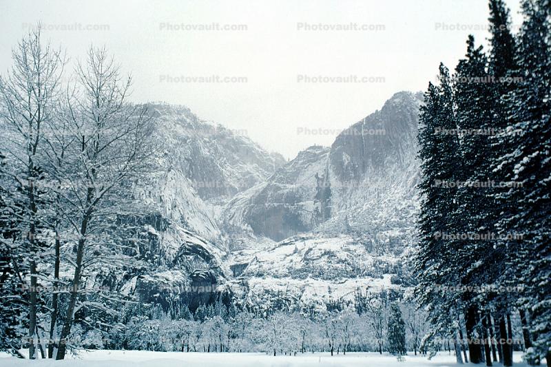 Yosemite Falls, Waterfall, Snowy Trees, Valley, Forest, Winter, Woodland