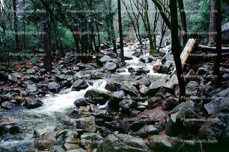path to Bridal Veil Falls, Rocks, Trees, Forest