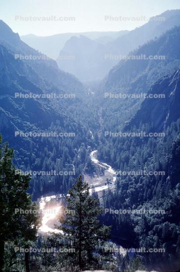 river, valley, forest