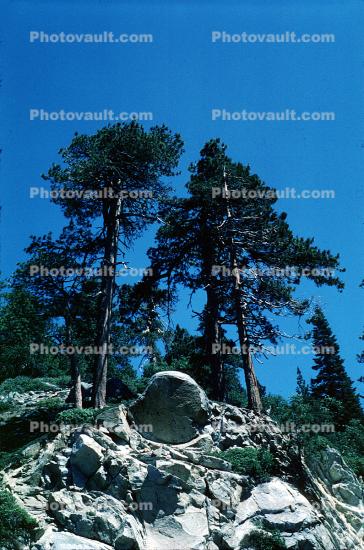 Mini Half Dome, Trees, Granite