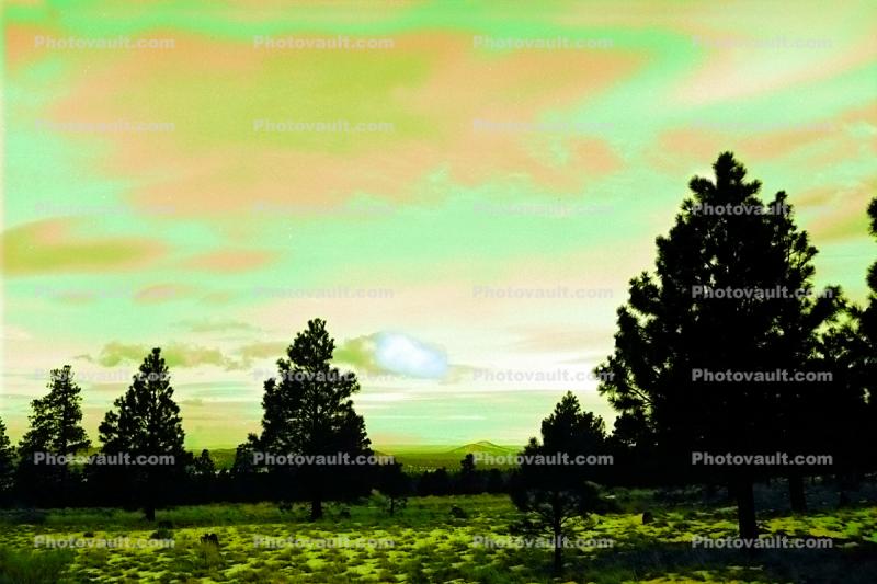 Psychedelic Sky and Trees, Sedona, Oak Creek Canyon