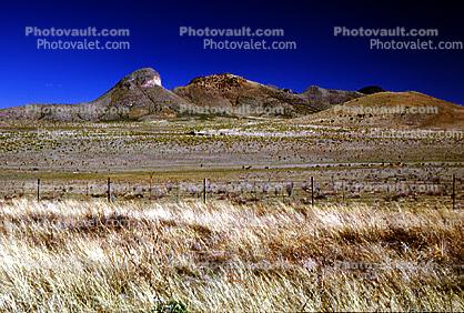 Barren Mountains, Grassland
