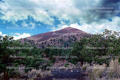 magma field, igneous rock, Cinder Cone, Trees