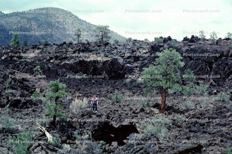 magma field, igneous rock, trees