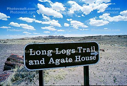 Long Logs Trail, Dirt, soil