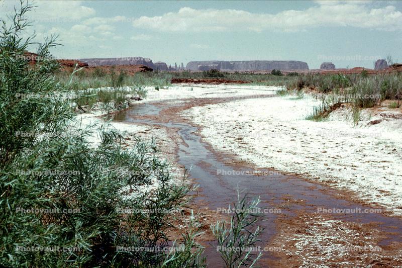 River, Monument Valley, dry, bush