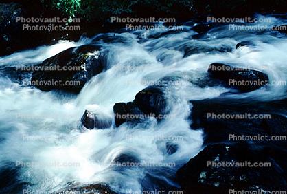 River, rapids, whitewater, turbulent