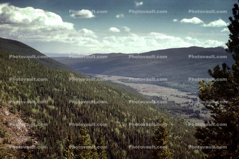 valley, forest, clouds
