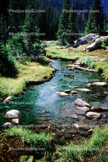 Mountain, Forest, Trees, Woodland, stream, river, rocks, Flora, Plants, Colorful, Woods, Exterior, Outdoors, Outside