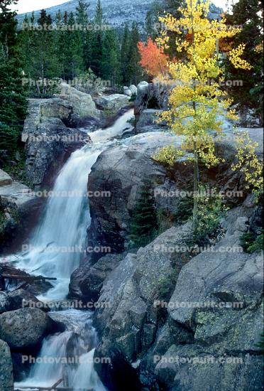 Waterfall, Mountain, Forest, Trees, Woodland, Fall Colors, Autumn, Vegetation, Flora, Plants, Colorful, Woods, Exterior, Outdoors, Outside, Rocky Mountains