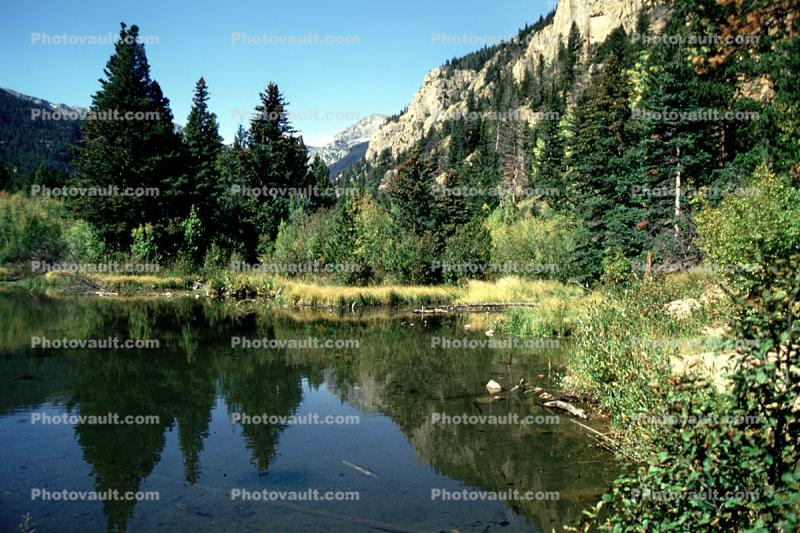 Lake, water, reflection, Woodland, trees, hills, mountains