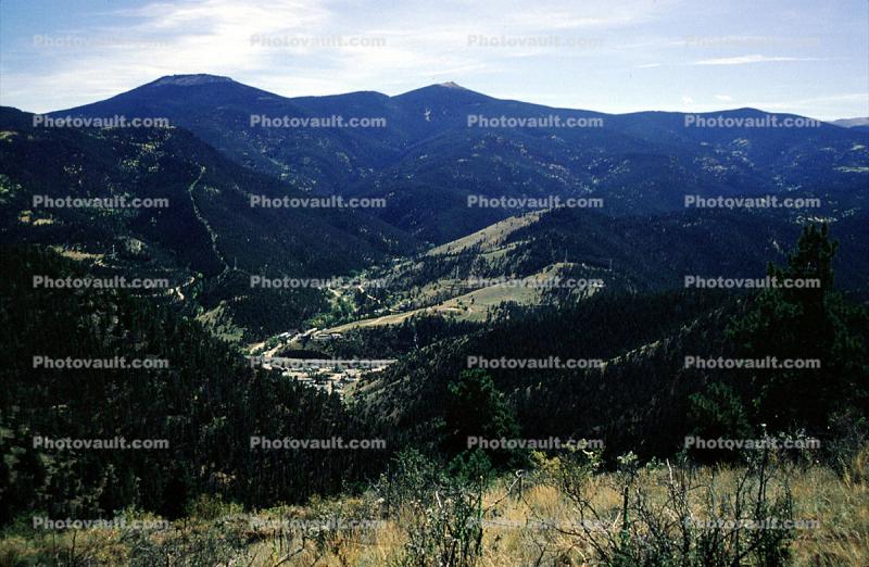 Woodland, trees, hills, mountains