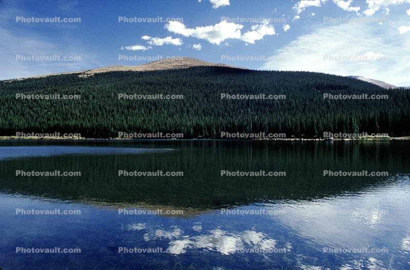Woodland, trees, hills, mountains, reflection, lake, water