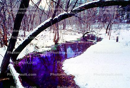 River, snow, woodland, forest, trees