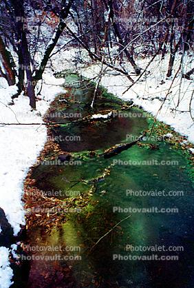 River, snow, woodland, forest, trees
