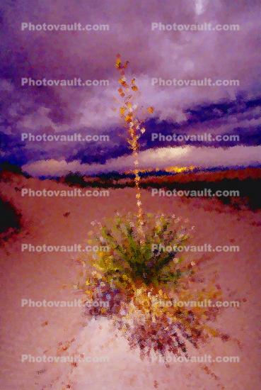 Soaptree Yucca, (Yucca elata), Monocot, Asparagales, Asparagaceae, Agavoideae, Paintography
