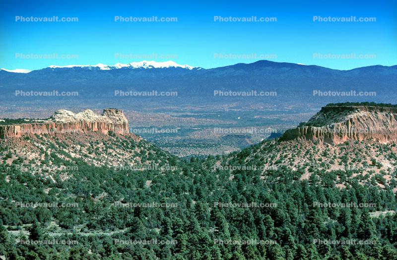 forest, mountain range, near Los Alamos