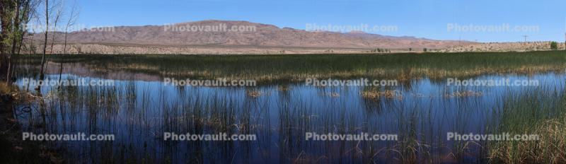 Middle Marsh, Wetlands, Lake, Water, Reeds, Mountain Range, Pahranagat National Wildlife Refuge