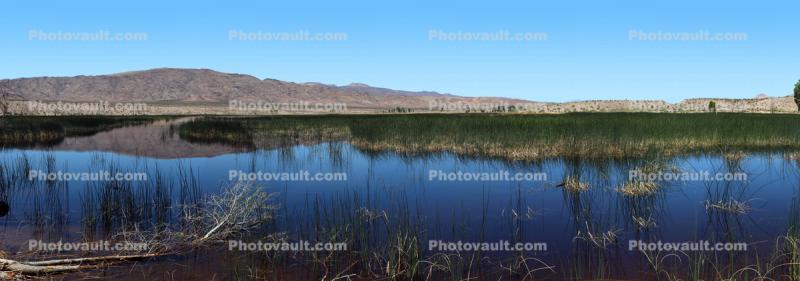 Middle Marsh, Wetlands, Lake, Water, Reeds, Mountain Range, Pahranagat National Wildlife Refuge