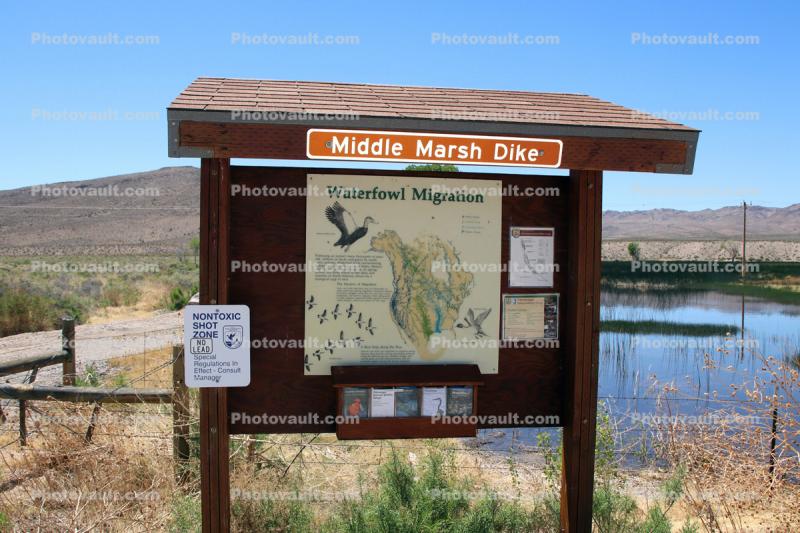 Middle Marsh Dike, Pahranagat National Wildlife Refuge, Nevada