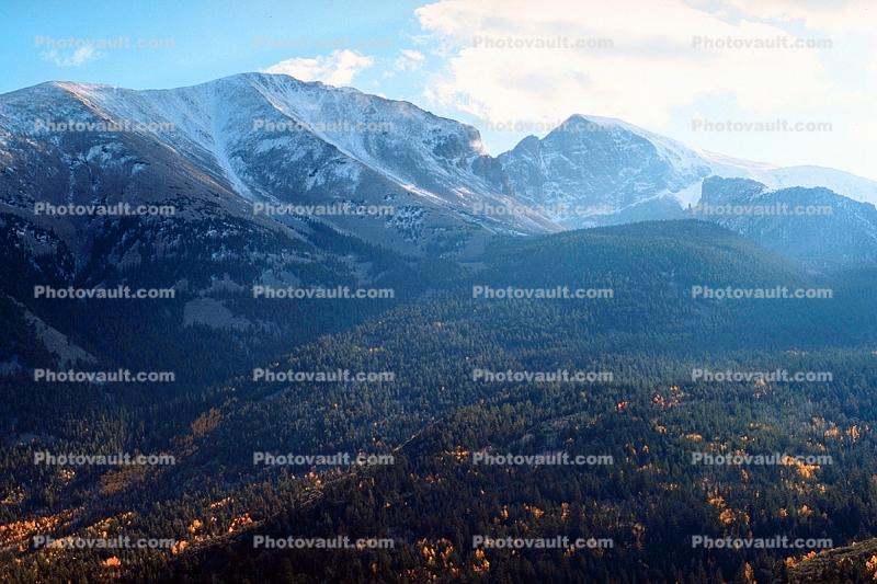 Wheeler Peak, Forest, Mountain