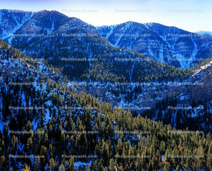 Mount Charleston, mountain range, snow peaks, forest
