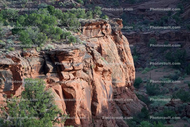Sandstone Rock Formations, Cliff, trees
